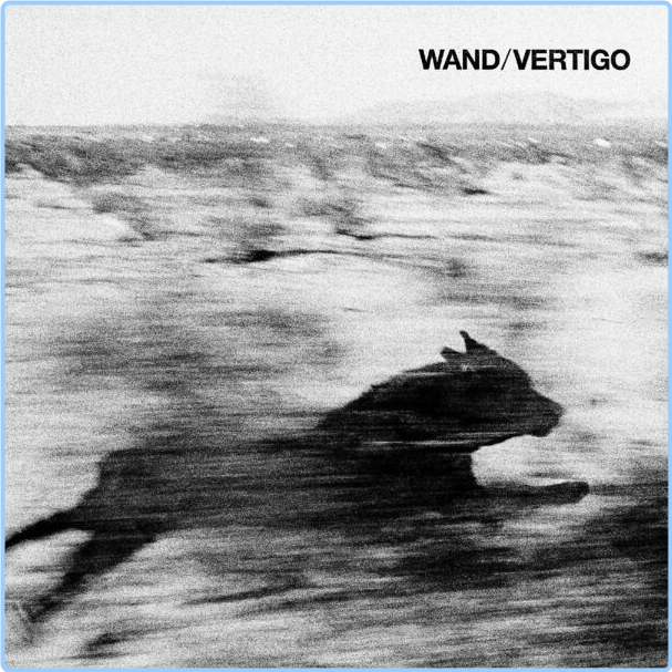 Wand Vertigo (2024) 24Bit 96kHz [FLAC] Bx1lYFXi_o