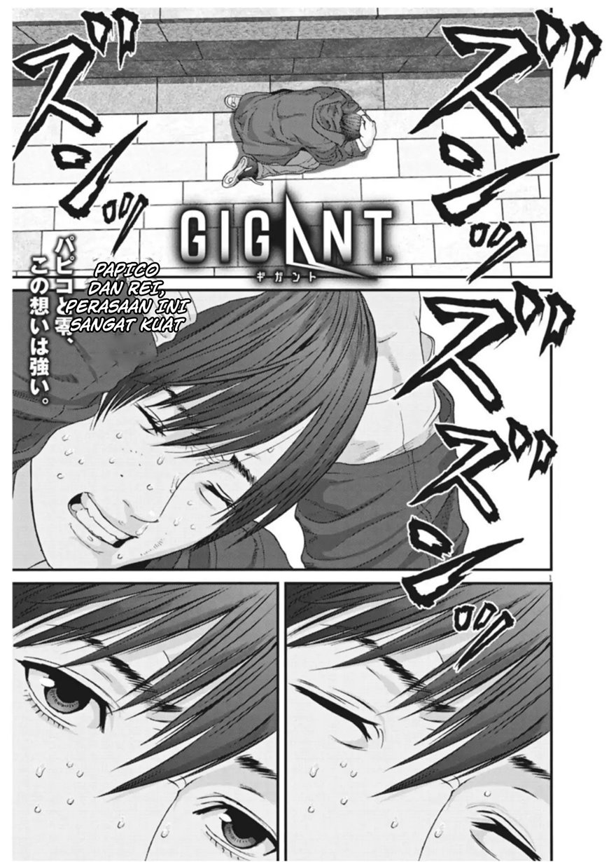 image host