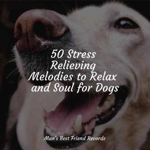 Sleepy Dogs - 50 Stress Relieving Melodies to Relax and Soul for Dogs - 2022