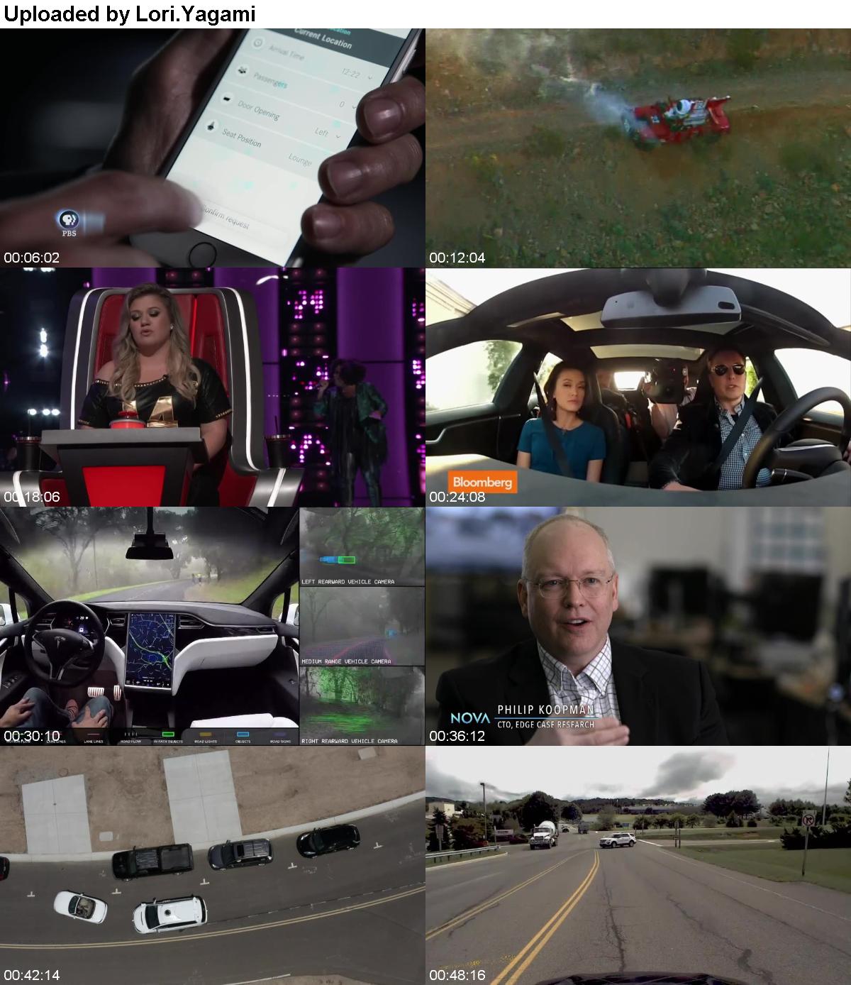 NOVA S46E19 Look Whos Driving WEB H264-UNDERBELLY