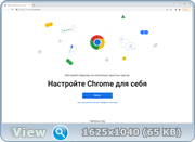 Google Chrome 102.0.5005.63 Stable + Enterprise (x86-x64) (2022) Multi/Rus