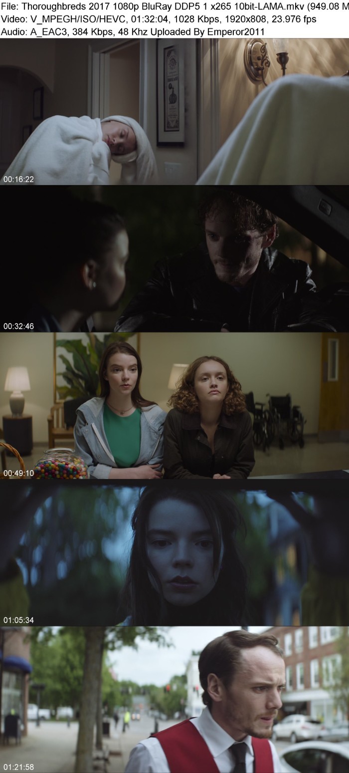 Thoroughbreds (2017) 1080p BluRay DDP5 1 x265 10bit-LAMA WXP37V3z_o