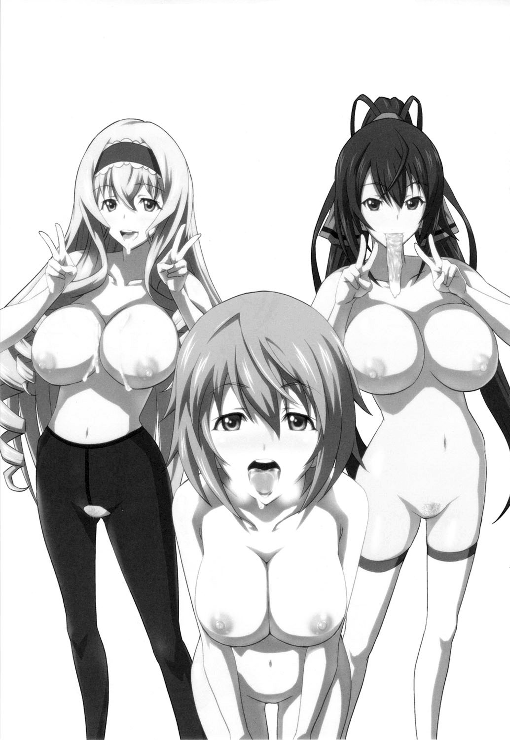 Infinite DoStratos (IS Infinite Stratos) - 1