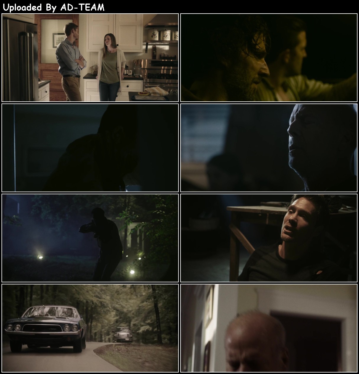 Survive The Night (2020) 1080p WEBRip x264-RARBG Dj66C5TQ_o