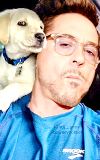 Robert Downey Jr Wc2pdoXM_o